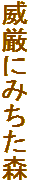 Ќɂ݂X